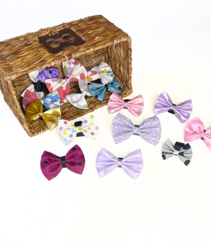 Girls Bow Bundle|Pets Ribbons