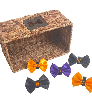 Halloween Bow Budget Bundle|Pets Ribbons