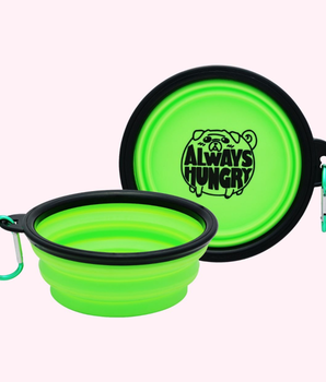 "Always Hungry" Green Dog Bowl