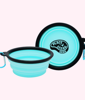 "Place Steak Here" Aqua Dog Bowl