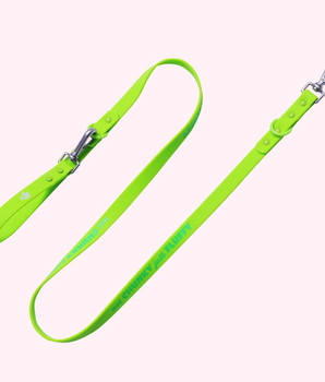 Silicone Dog Leash "Not Chunky Just Fluffy" Lime Green