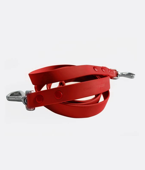 Red Dog Leash