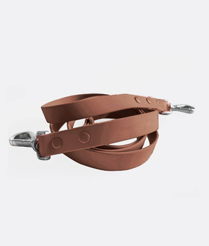 Brown Dog Leash