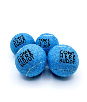 Set of 4 Come Here Buddy Tennis Balls in Sky Blue