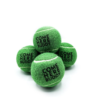 Set of 4 Come Here Buddy Tennis Balls in Green