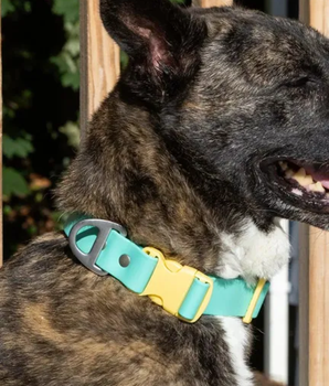 Island Vibes Waterproof Dog Collar