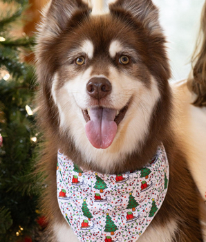 Howliday Cheer Dog Bandana