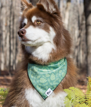 Pine Cone Pup Bandana