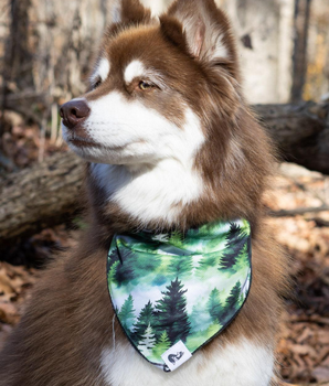 Evergreen Explorer Dog Bandana