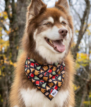 Woodland Tales Dog Bandana