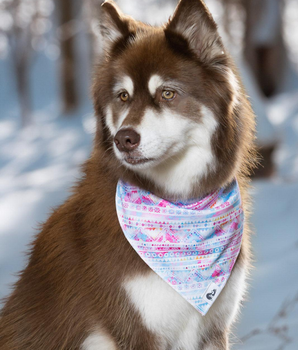 Pink and Blue Tribal Dog Bandana