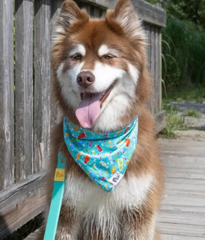 Seaside Sips Dog Bandana