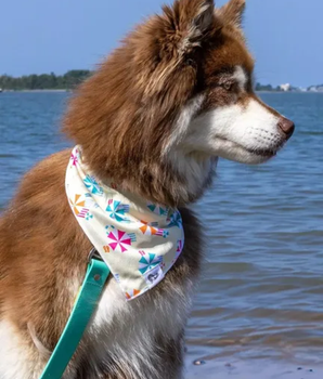 Sun & Shade Dog Bandana