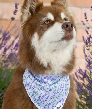 Lavender Blooms Dog Bandana