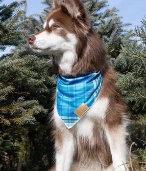 Blue Spruce Plaid Dog Bandana