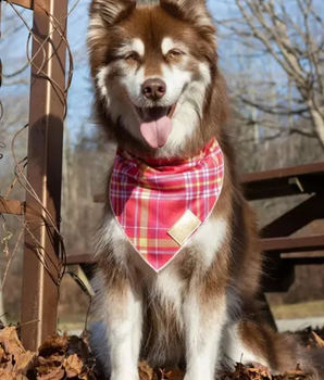 Wine Plaid Dog Bandana