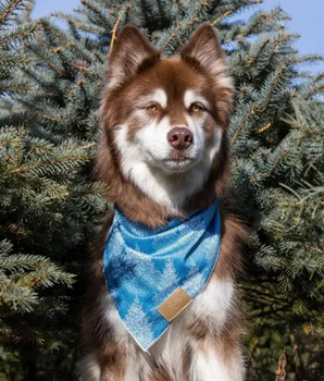 Siberian Spruce Dog Bandana