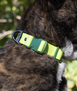 Mossy Pine Waterproof Dog Collar