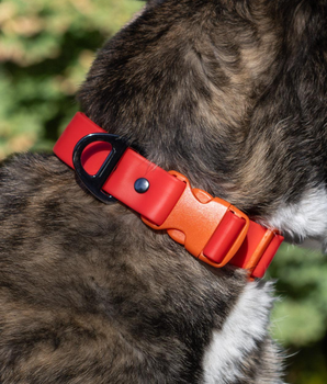 Scarlet Peaks Waterproof Dog Collar