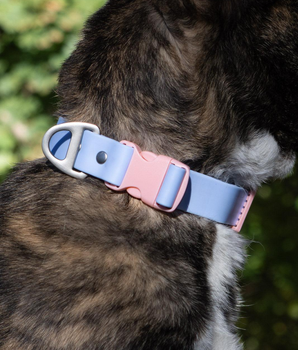 Blue Sky Orchid Waterproof Dog Collar