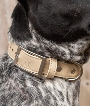 Champagne Fizz Vegan Leather Dog Collar