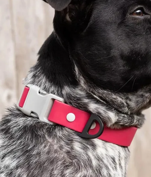 Red Mountain Syrah Waterproof Dog Collar