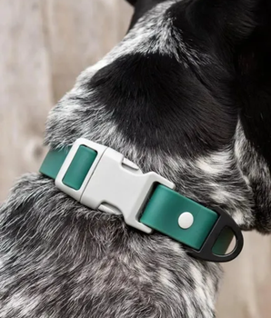 Siberian Spruce Waterproof Dog Collar