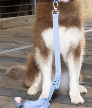 Blue Sky Orchid Waterproof Leash