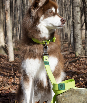 Mossy Pine Waterproof Leash