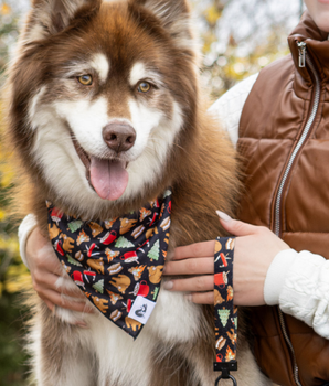 Woodland Tales Dog Bandana & Matching Keychain