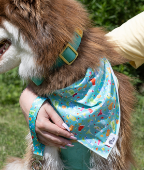 Seaside Sips Dog Bandana & Matching Keychain