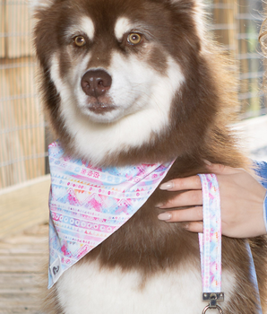 Pink and Blue Tribal Dog Bandana & Matching Keychain