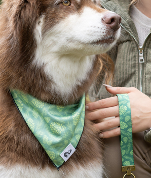 Pine Cone Pup Bandana & Matching Keychain