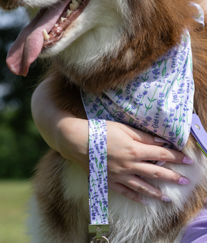 Lavender Blooms Dog Bandana & Matching Keychain