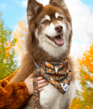 Foxes in Fall Dog Bandana & Matching Keychain