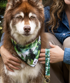 Evergreen Explorer Dog Bandana & Matching Keychain