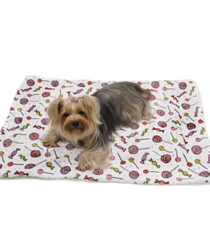 Ultra Soft Minky/Plush Sweet Candies Blanket