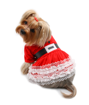 Lace Ruffles Puffy Sleeves Christmas Dress