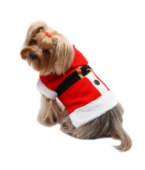 Santa Hooded Sweater with Soft Fur Trims