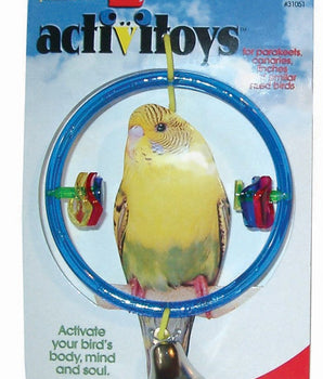 JW Pet ActiviToy Ring Clear Bird Toy Multi-Color 1ea/SM/MD