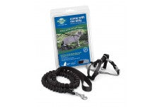 PetSafe Premier Come With Me Kitty Harness and Bungee Leash Combo Black; Silver Small