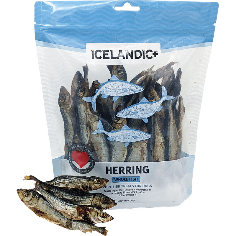 Icelandic  Dog Herring Fish Whole Bulk 9oz.