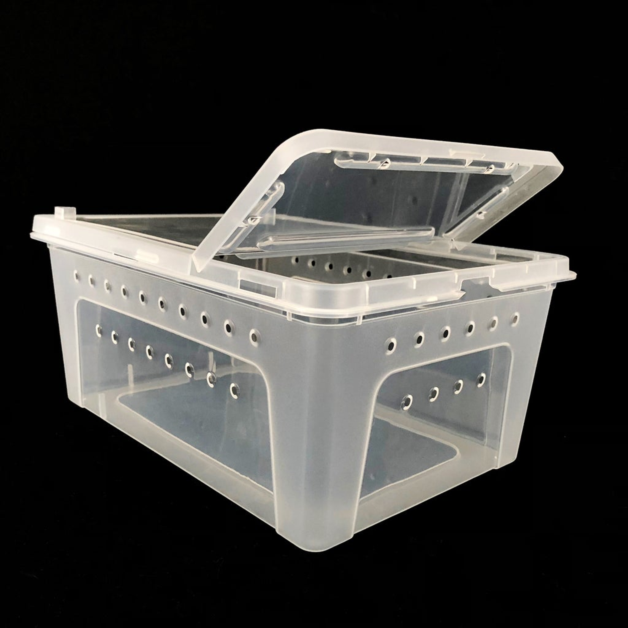 Jungle Bob Plastic Box