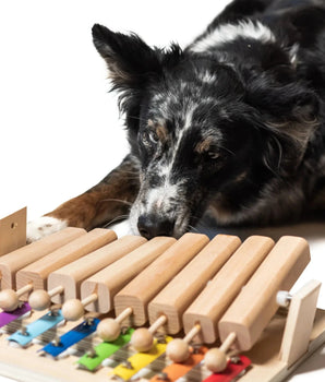 Piano Dog Game - My Intelligent Pet's Piano Dog Toys