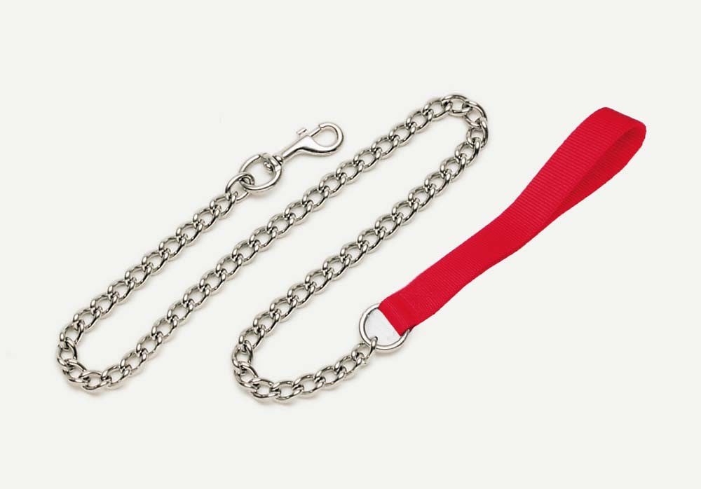 Titan Chain Dog Leash with Nylon Handle Red 1ea/3 Mm X 4 ft