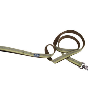 Coastal Pet Products K9 Explorer Reflective Leash With Scissor Snap, 5/8 Inchx6 Fern Green