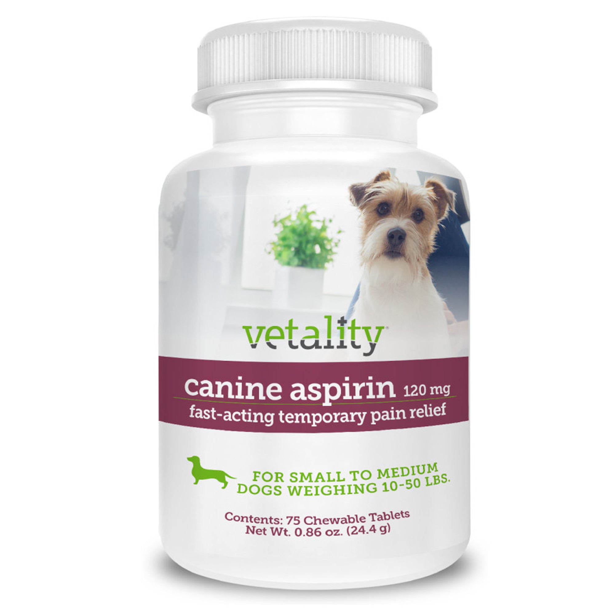 Vetality Canine Aspirin Chewable Tables 120mg 1ea-75 ct